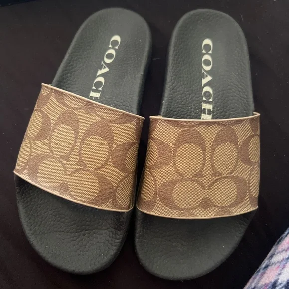 Coach slides - Picture 2 of 5